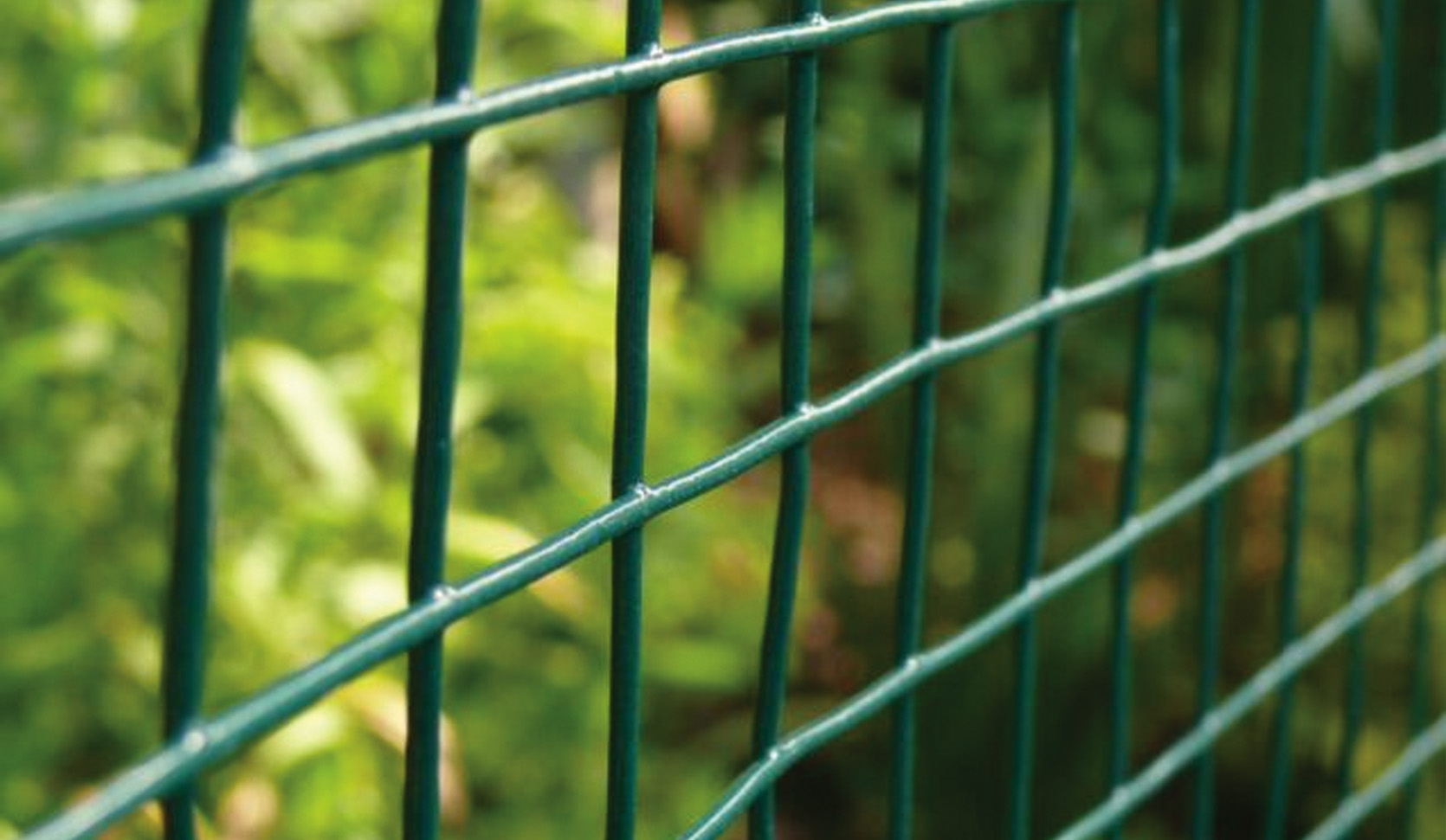 Green PVC coated welded wire mesh panels in a garden setting