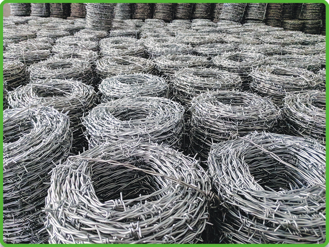 Bundled coils of razor barbed wire ready for despatch